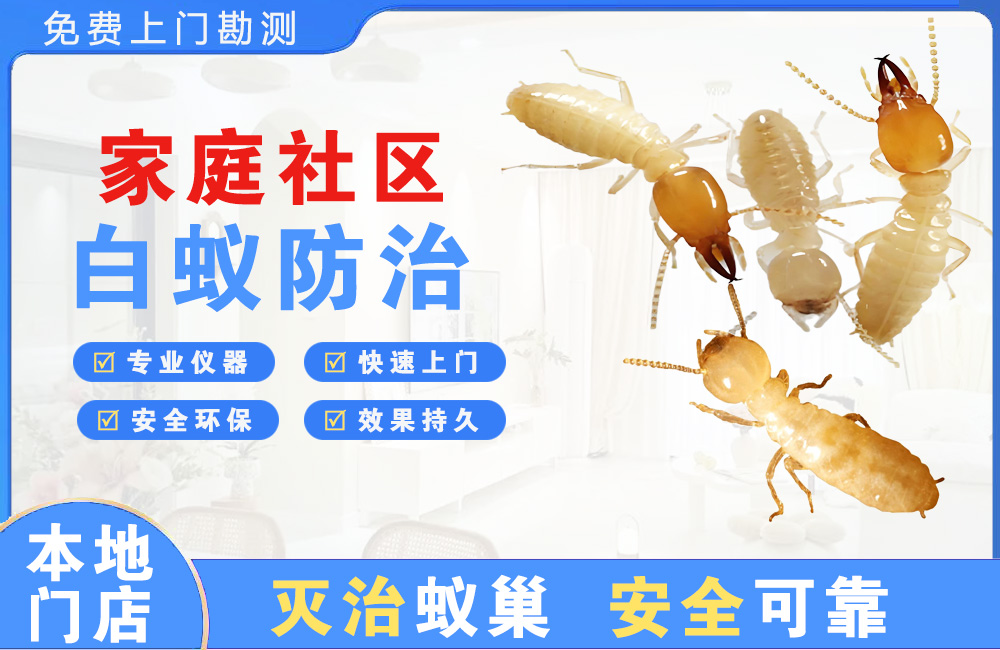 长沙家庭社区白蚁防治