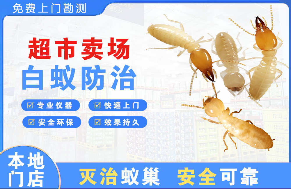 长沙超市卖场白蚁防治