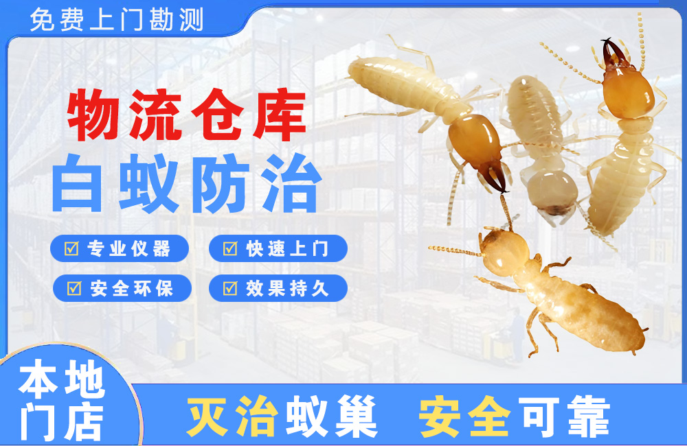 长沙物流仓库白蚁防治