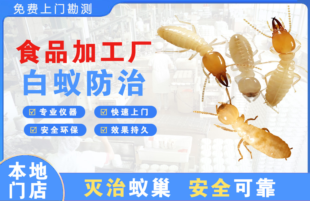 长沙食品加工厂白蚁防治