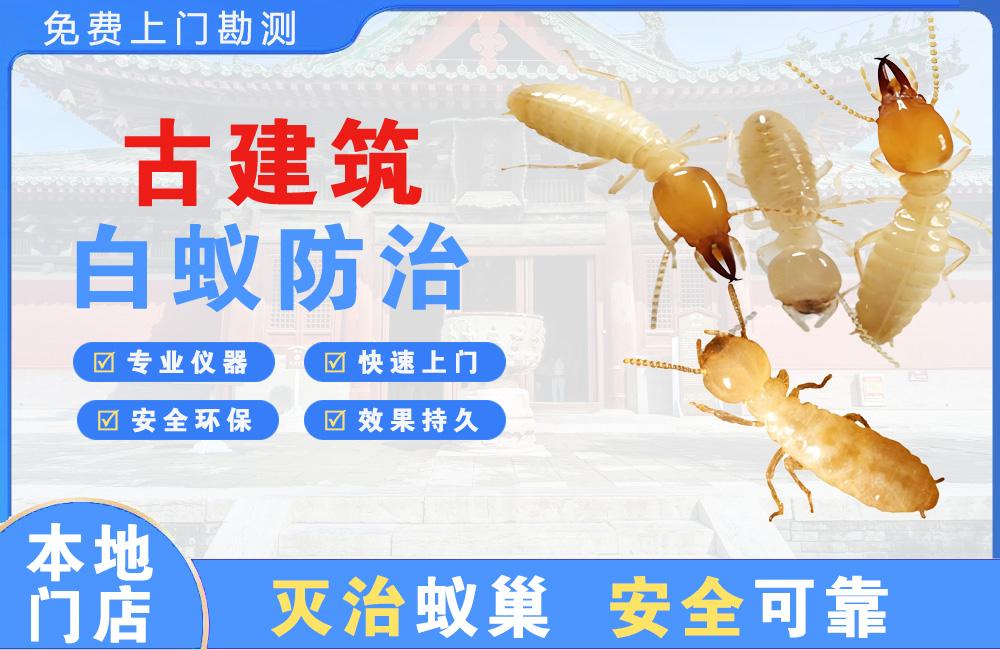 长沙古建筑白蚁防治