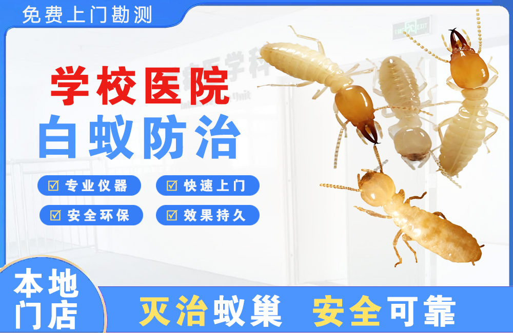 长沙学校医院白蚁防治