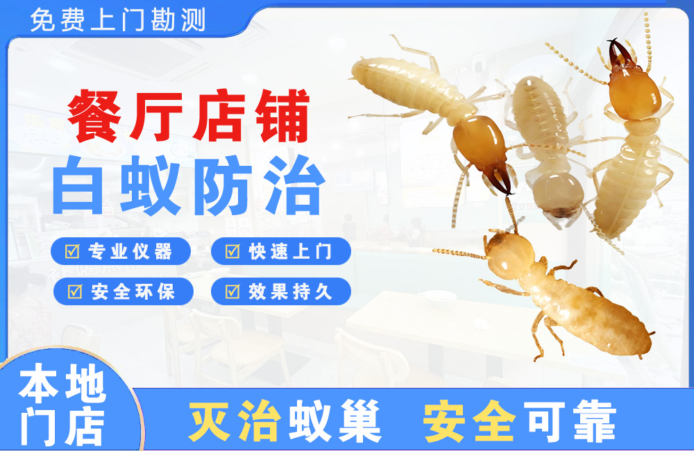 长沙餐厅店铺白蚁防治